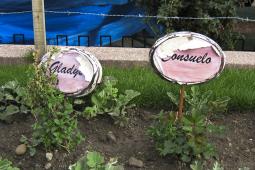 Garden in Huancavelica, Peru commemorating the women survivors of sexual violence